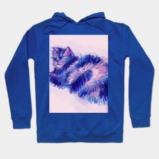 Sly cat lying down Hoodie